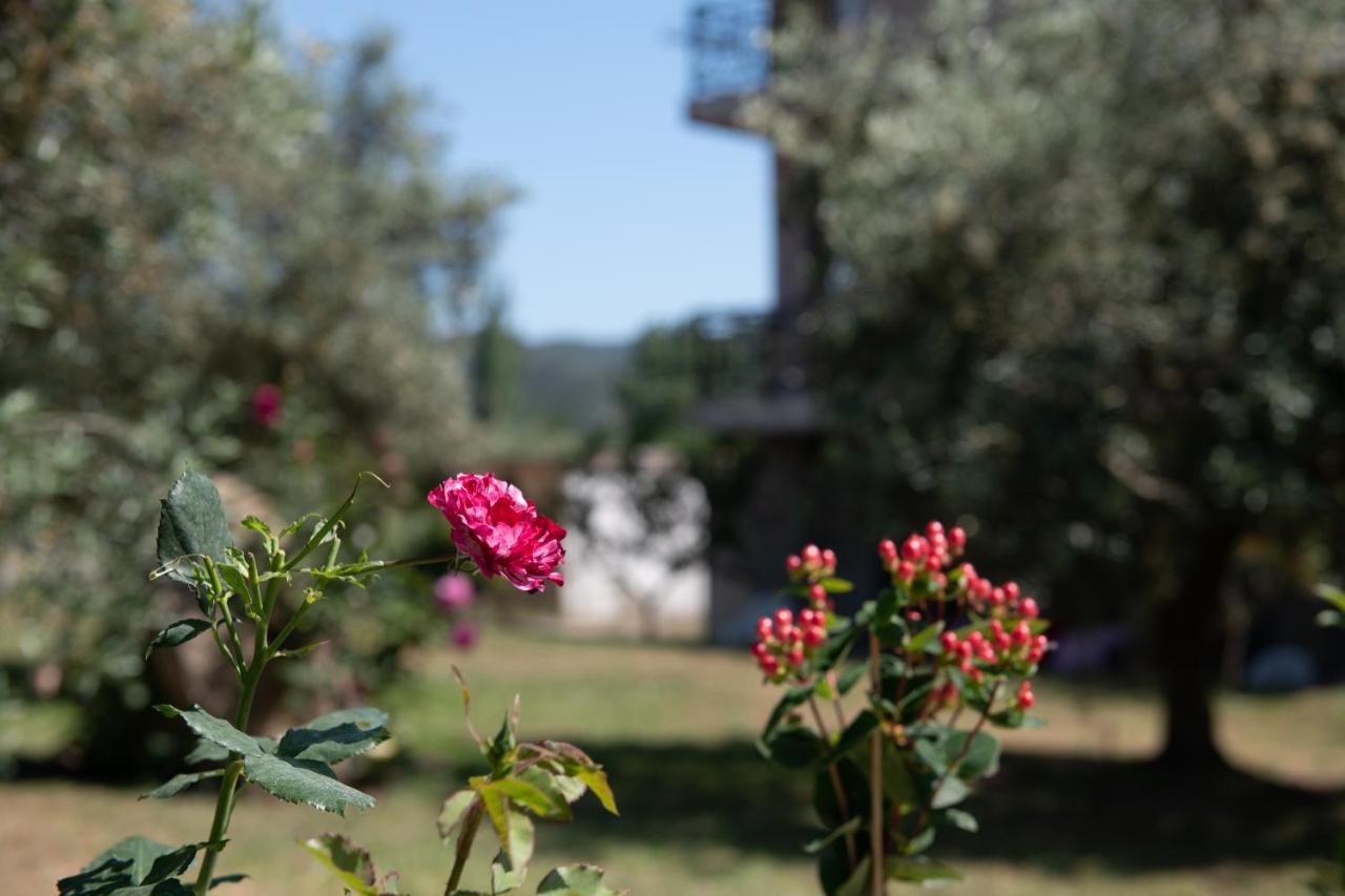 Villa Tsitreli Sikiá Exterior foto